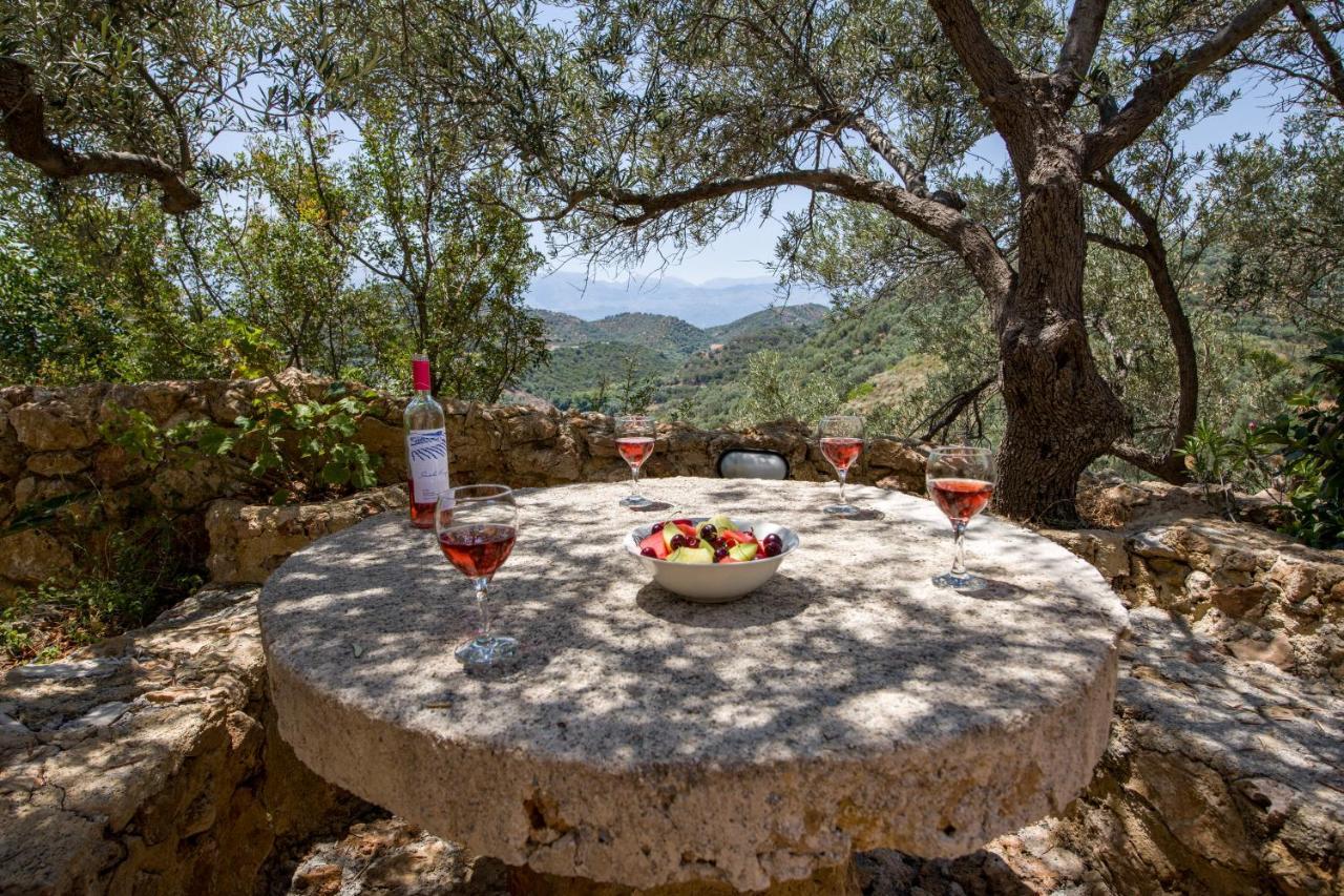 Villa Kourouni Σταλός Εξωτερικό φωτογραφία